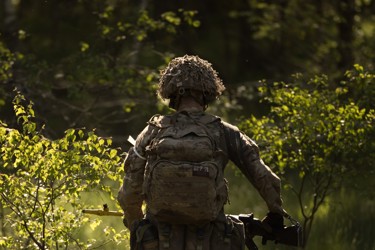 Soldier In Field